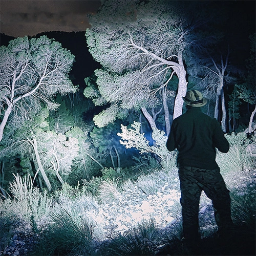 Automotive Repair Flashlights Fenix PD36R USB-C Rechargeable Flashlight | 1,600 Lumens - Image 2